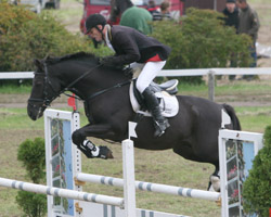 Ein L-Springen sicherte sich Bodo Holtz auf dem Trakehner Sonnenkönig.